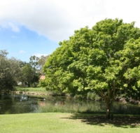 Hervey Bay Botanic Gardens - VIC Tourism