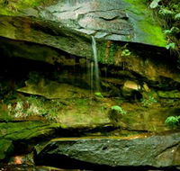 Strickland State Forest - VIC Tourism