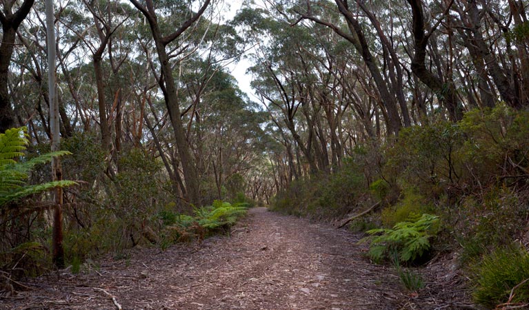 Yadboro NSW VIC Tourism