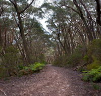 Budawang National Park - VIC Tourism