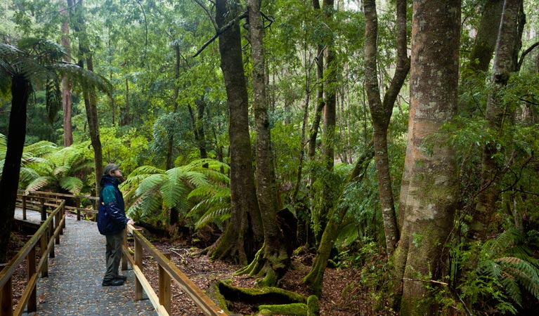 Monga NSW VIC Tourism