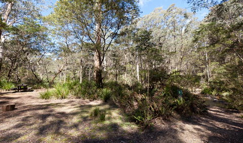 Monga National Park - VIC Tourism 1