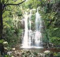 Budderoo National Park - The Falls Walk - VIC Tourism