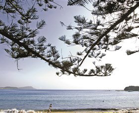 Terrigal Beach - VIC Tourism 0
