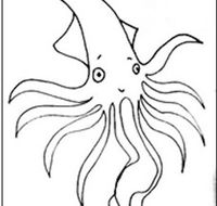 Squid Studio - VIC Tourism