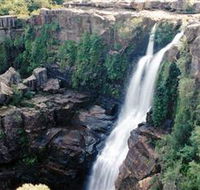 Minnamurra Rainforest Centre Budderoo National Park - VIC Tourism