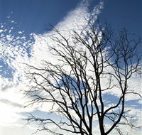 Nudgee Beach - VIC Tourism