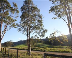 Tourist Drive 2 - Bucketts Way - VIC Tourism 1