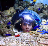 Sea Life Sunshine Coast - VIC Tourism