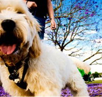 Tuckeroo Park - VIC Tourism