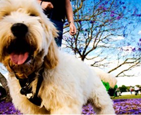 Tuckeroo Park - VIC Tourism 0