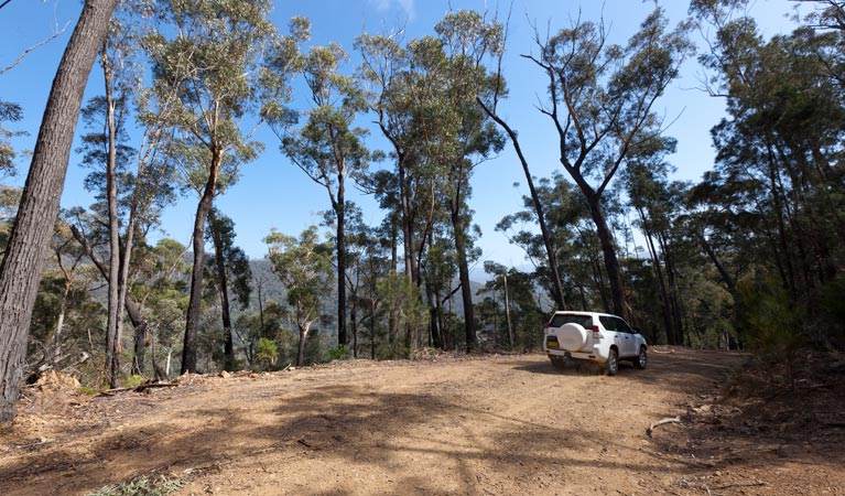 Wadbilliga NSW VIC Tourism