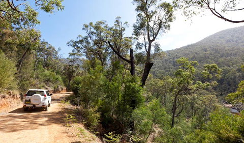 Wadbilliga Road Drive - VIC Tourism 1