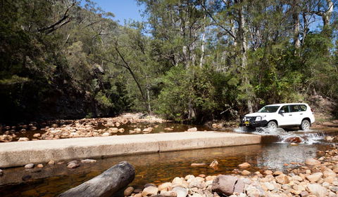 Wadbilliga Road Drive - VIC Tourism 2