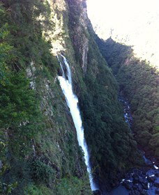 Ellenborough Falls - VIC Tourism 0