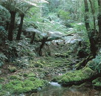The Corn Trail Walk - VIC Tourism