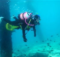 Shellharbour Scuba  Photography Centre - VIC Tourism