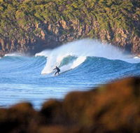 Killalea Beach - VIC Tourism