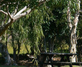 Mongogarie NSW VIC Tourism