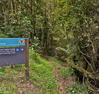Red Cedar loop - VIC Tourism