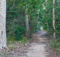 Delta track - VIC Tourism