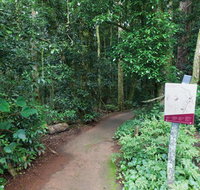Walk with the Birds boardwalk - VIC Tourism
