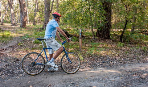 Monument Beach Ride From Bendalong - VIC Tourism 0