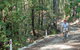 Monument Beach Ride From Bendalong - thumb 2