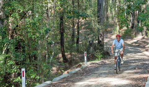 Monument Beach Ride From Bendalong - VIC Tourism 2