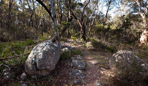 Wadbilliga National Park - VIC Tourism 2