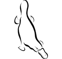 Platypus Gallery - VIC Tourism