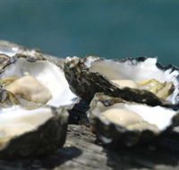 Jim Wilds Oyster Service - VIC Tourism