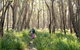 Nerindillah Lagoon Walking Track - thumb 3