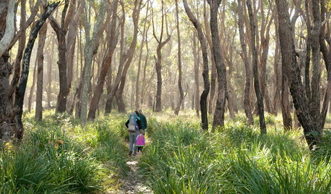 Nerindillah Lagoon Walking Track - VIC Tourism 3