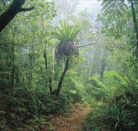 Wagawn - VIC Tourism