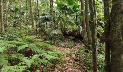 Durras Lake Discovery Trail - VIC Tourism 0