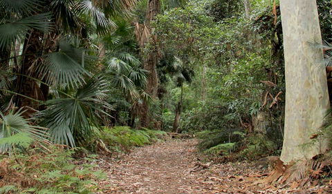 Durras Lake Discovery Trail - VIC Tourism 2