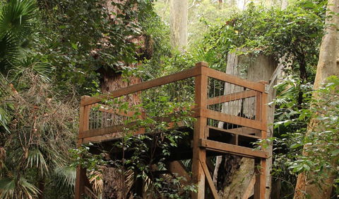 Durras Lake Discovery Trail - VIC Tourism 3