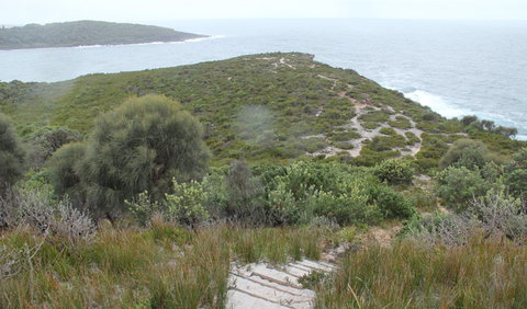 Pretty Beach To Snapper Point Walking Track - VIC Tourism 2