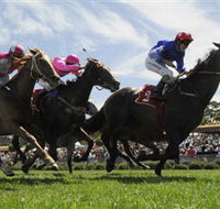 Moruya Racecourse - VIC Tourism