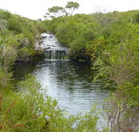 Booderee National Park Green Patch and Telegraph Creek Walking Tracks - VIC Tourism