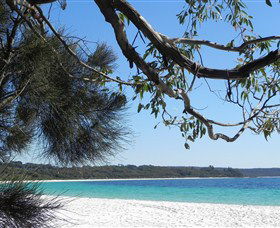 Booderee National Park: Green Patch And Telegraph Creek Walking Tracks - VIC Tourism 6