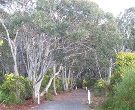 Booderee National Park: Munyunga Waraga Dhugan Walking Trail - VIC Tourism 3
