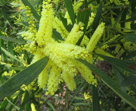 Booderee National Park: Munyunga Waraga Dhugan Walking Trail - VIC Tourism 1
