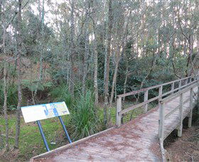 Booderee National Park: Munyunga Waraga Dhugan Walking Trail - VIC Tourism 8