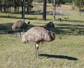Tullymorgan NSW VIC Tourism
