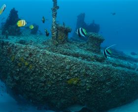 Curtain Artificial Reef Dive Site - VIC Tourism 1