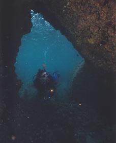 Tangalooma Wrecks Dive Site - VIC Tourism 1