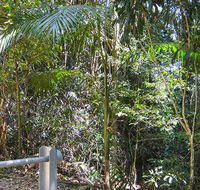 Goorgana walking track - VIC Tourism
