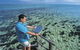 Hamelin Pool Stromatolites - thumb 2